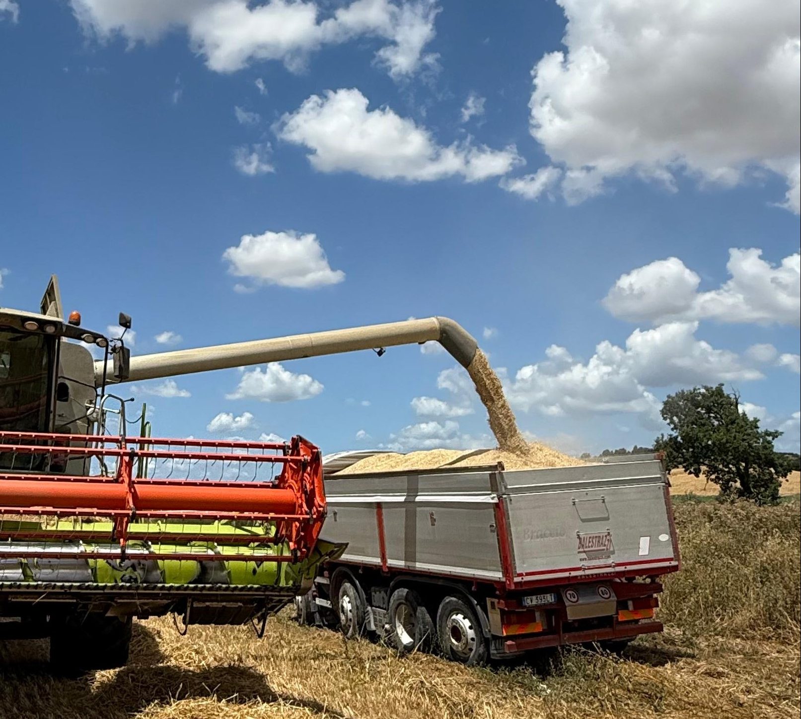 trasporto-cereali-pienza